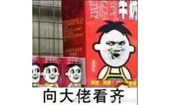 用着向大佬看齐