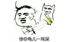 惨你龟儿一耳屎