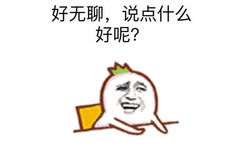 好无聊,说点什么好呢?