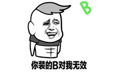 你装的B对我无效