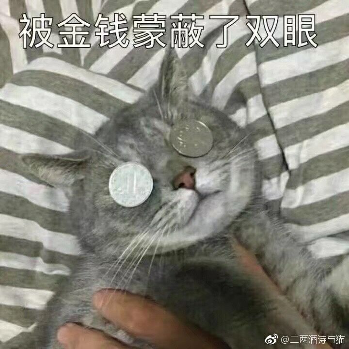 被金钱蒙蔽了双眼