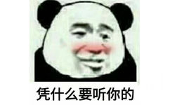 凭什么要听你的