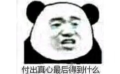 付出真心最后得到什么