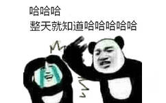 哈哈哈整天就知道哈哈哈哈哈