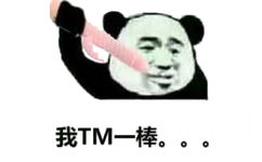 我TM一棒。。。（震动棒）