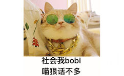 社会我bobi，喵狠话不多