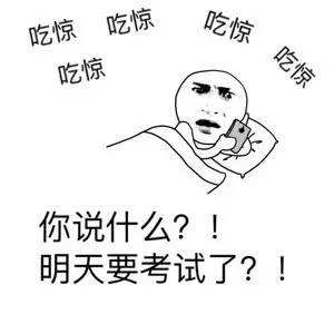 吃惊吃惊哈综吃惊你说什么?!明天要考试了?!