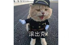 滚出克（小猫警察）