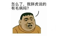 怎么了,我胖虎说的有毛病吗?