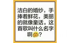 洁白的婚纱,手捧着鲜花,美丽的就像童话。这首歌叫什么名字啊