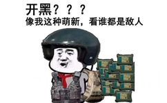 开黑???像我这种萌新,看谁都是敌人。（绝地求生）