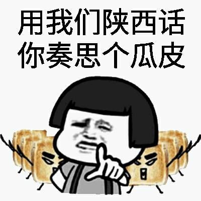 用我们陕西话，你奏思个瓜皮日