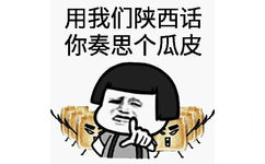 用我们陕西话，你奏思个瓜皮日