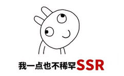 我一点也不稀罕SSR