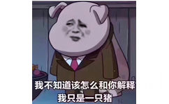 我不知道该怎么和你解释我只是一只猪