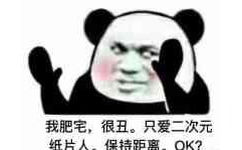 我肥宅,很丑。只爱二次元纸片人。保距OK？