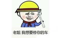 老姐我想要修你的车