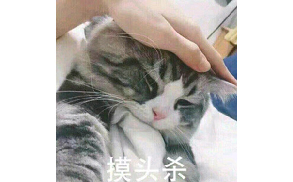 摸头杀