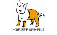 本猫只跟穿秋裤的狗子说话