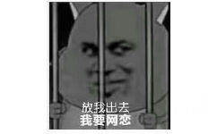 放我出去我要网恋