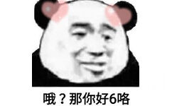 哦?那你好6咯