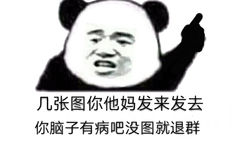 几张图你他妈发来发去，你脑子有病吧没图就退群