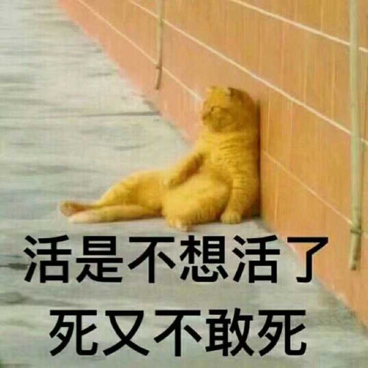 活是不想活了，死又不敢死