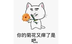 你的菊花又痒了是吧。