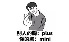 别人的胸:plus你的胸:mini