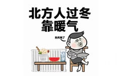 北方人过冬靠暖气