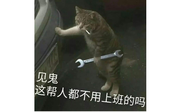 见鬼这帮人都不用上班的吗