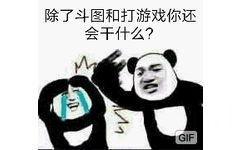 除了斗图和打游戏你还会干什么?