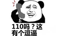 110吗?这有个逗逼