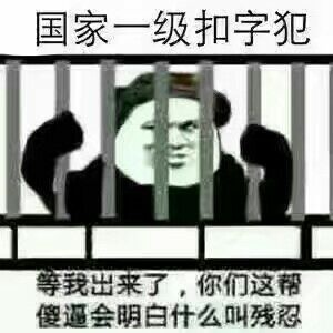 国家一级扣字犯