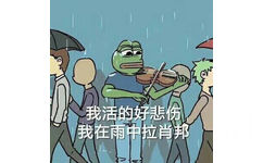 我活的好悲伤，我在雨中拉肖邦！