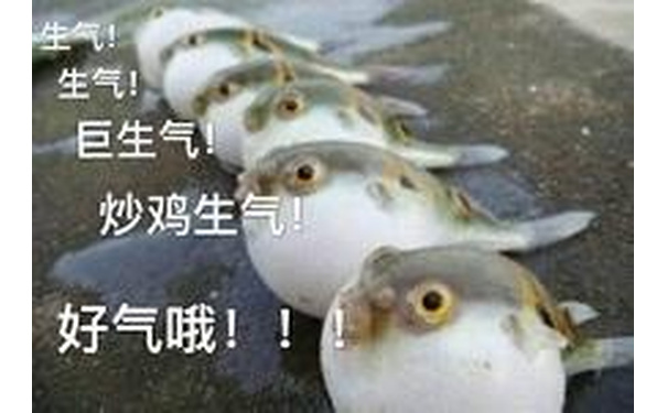 生气！巨生气！炒鸡生气！好气哦！