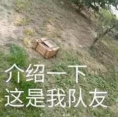 介绍这是我队友