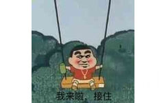 我来啦,接住