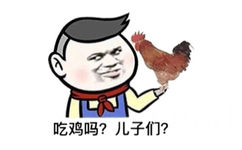 吃鸡吗?儿子们?