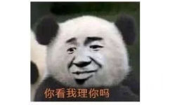 你看我理你吗