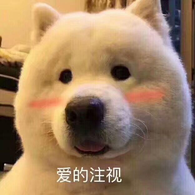 爱的注视