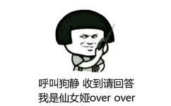 呼叫狗静，收到请回答，我是仙女娅 over over