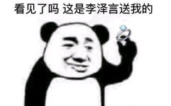 看见了吗这是李泽言送我的