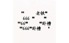 老铁卧槽666