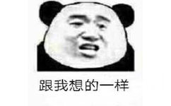 跟我想的一样