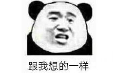 跟我想的一样