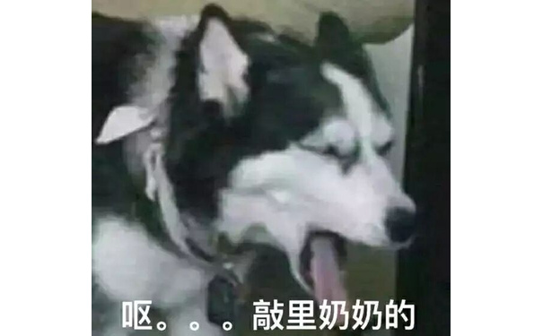 呕。。敲里奶奶的