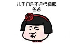 儿子们是不是很佩服爸爸