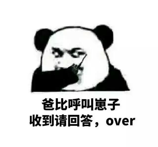 爸比呼叫崽子收到请回答,over