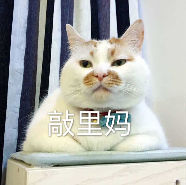 敲里妈